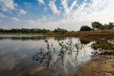 Смотреть изображение Изображение ландшафта