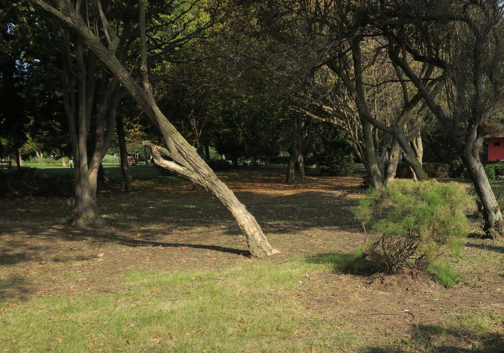 Бургас, image of landscape/habitat.
