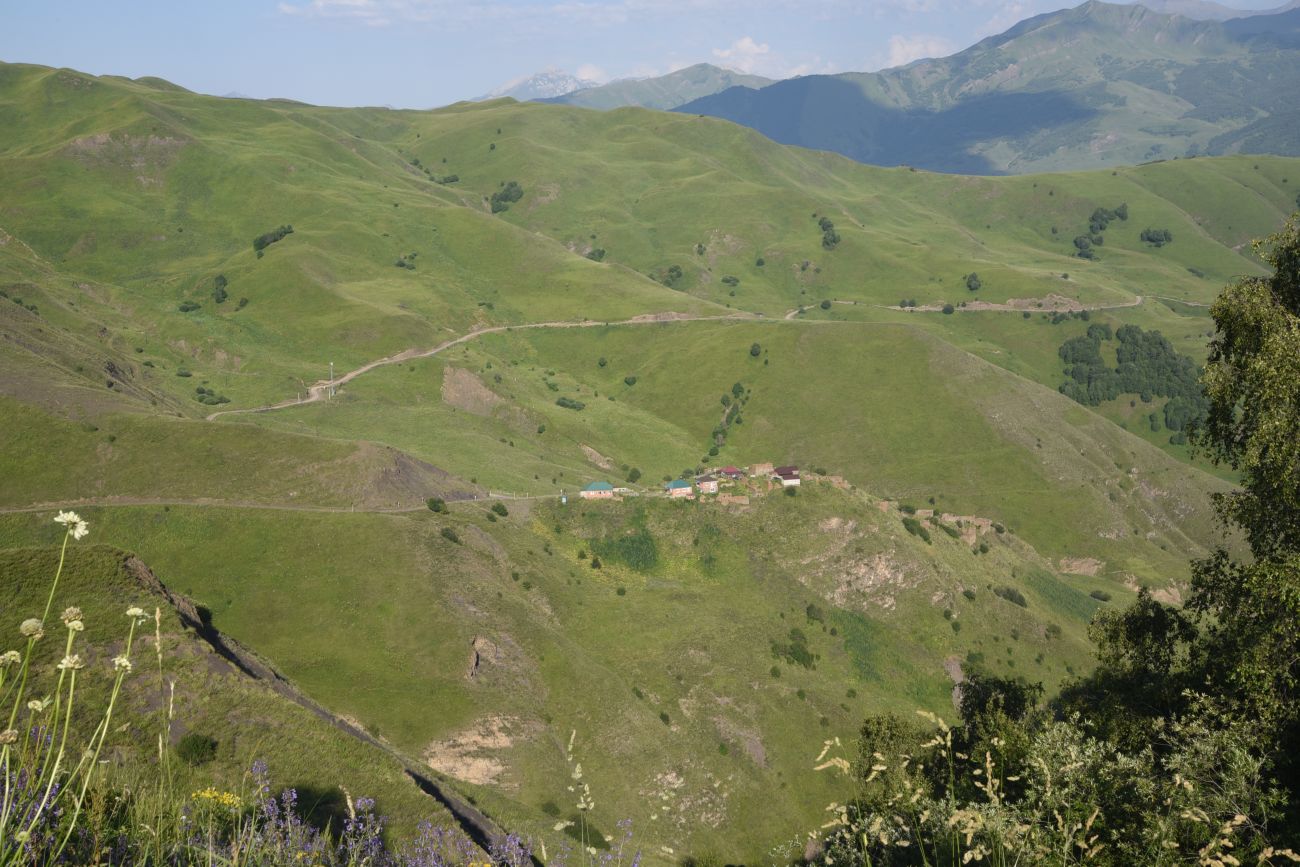 Шикарой и окрестности, изображение ландшафта.