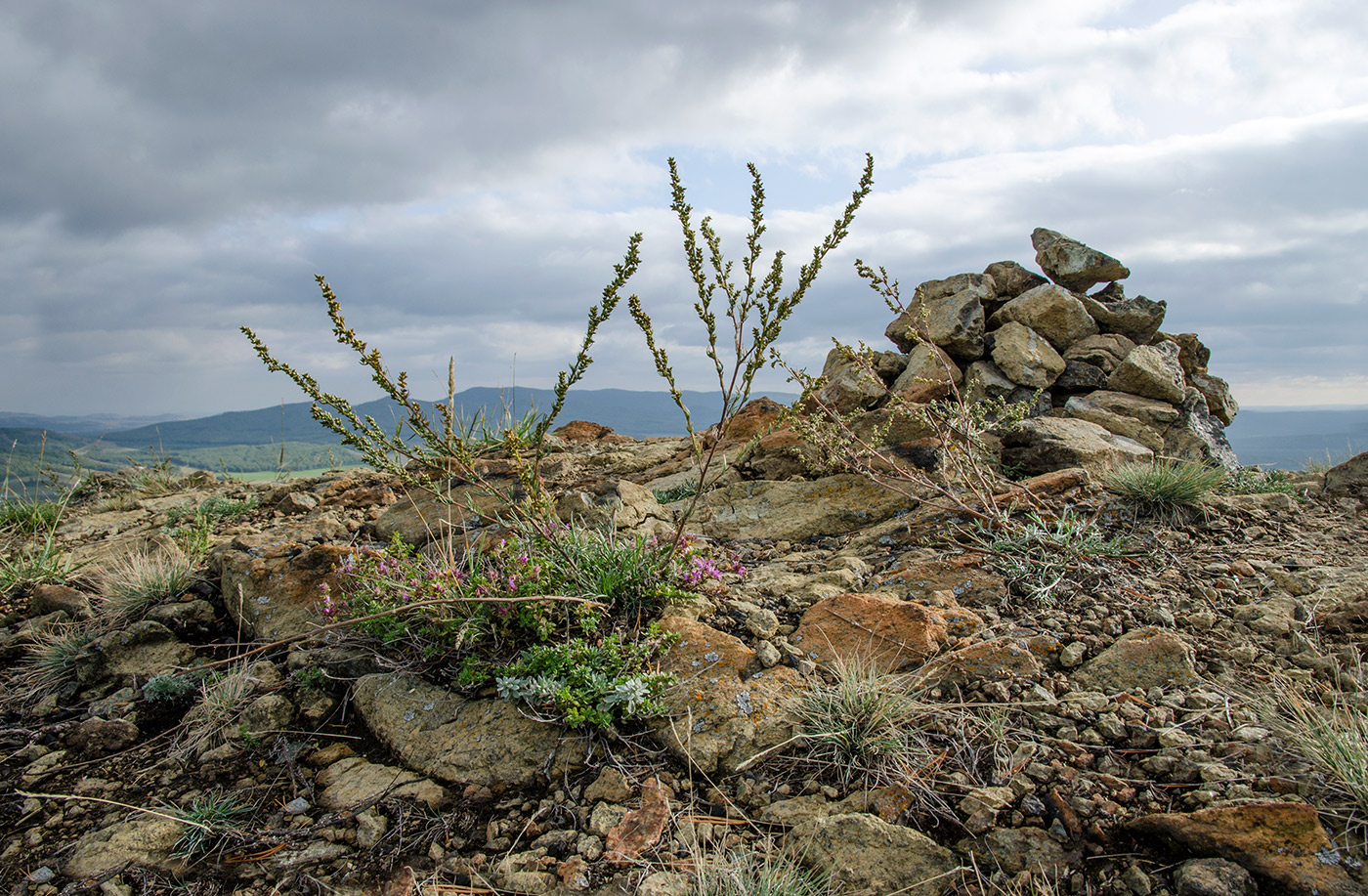 Акбура, image of landscape/habitat.