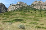 Image of landscape