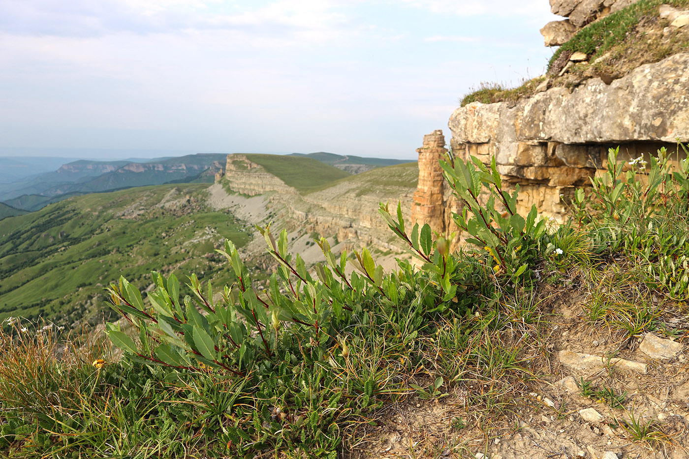 Большой Бермамыт, image of landscape/habitat.