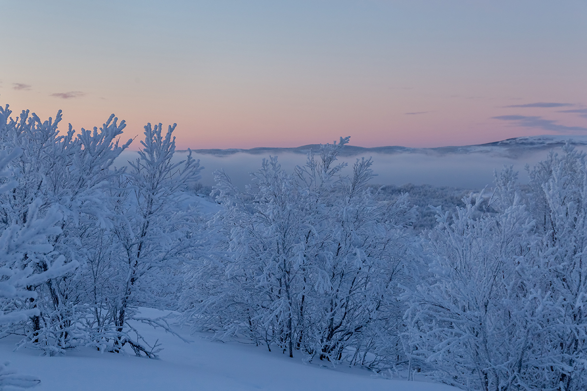 Горелая сопка, image of landscape/habitat.