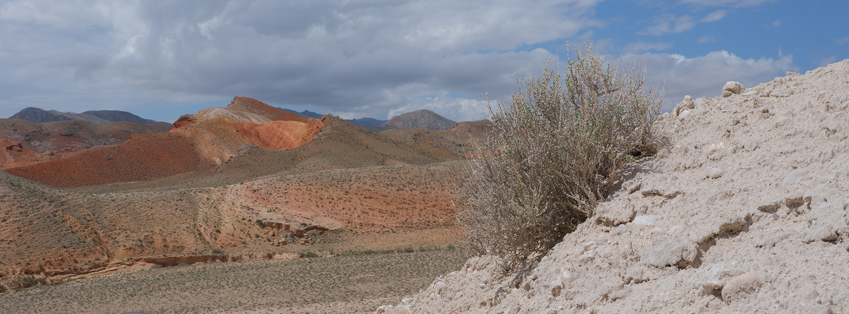 Мадыген, image of landscape/habitat.