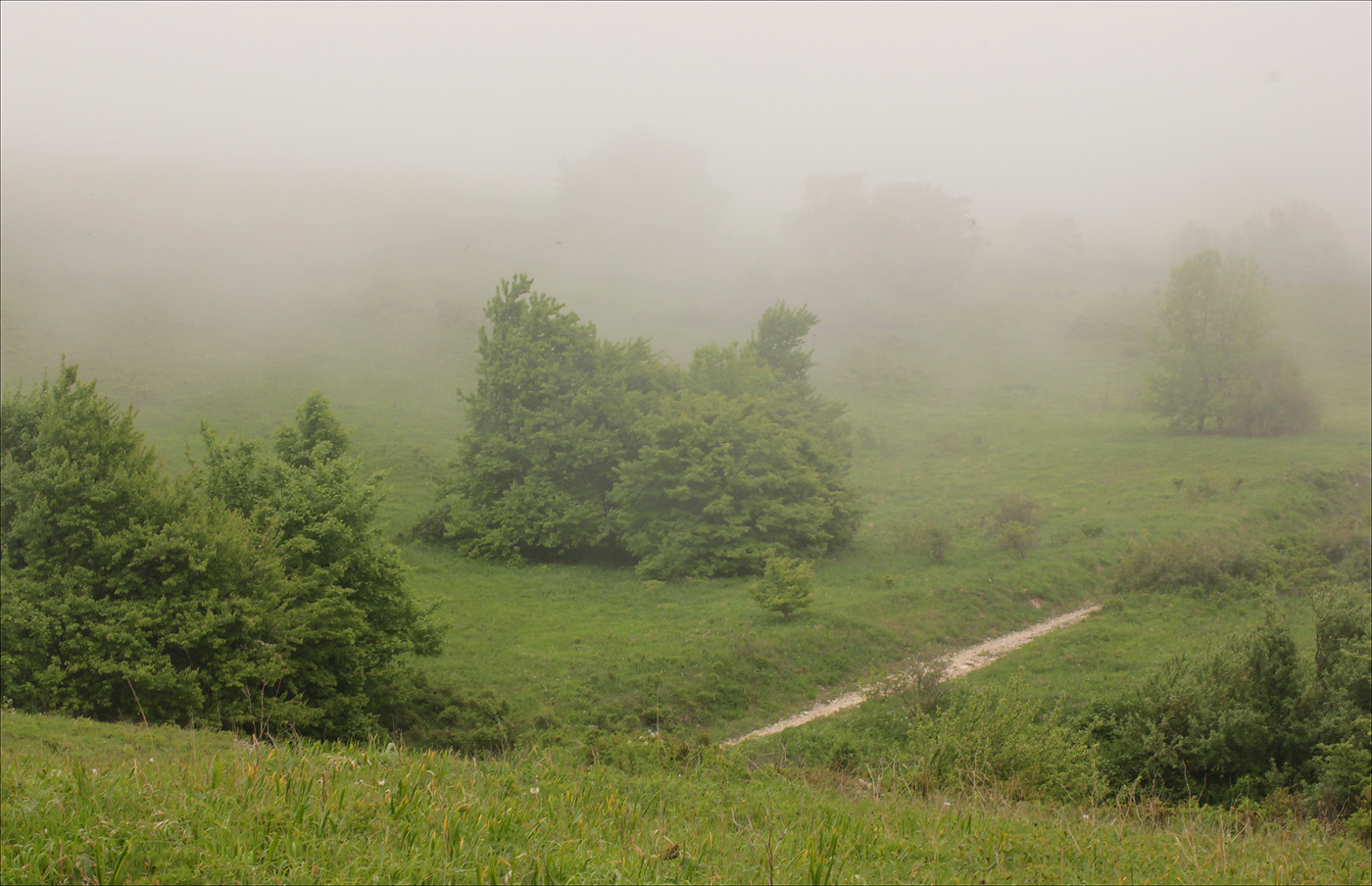 Урочище Солдатский Бугор, image of landscape/habitat.