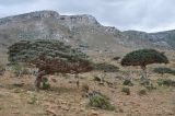 Image of landscape