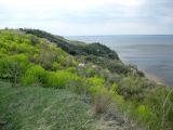 Image of landscape