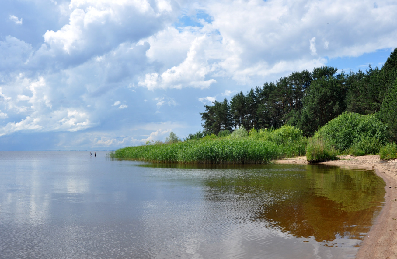 Остров Верхний, image of landscape/habitat.