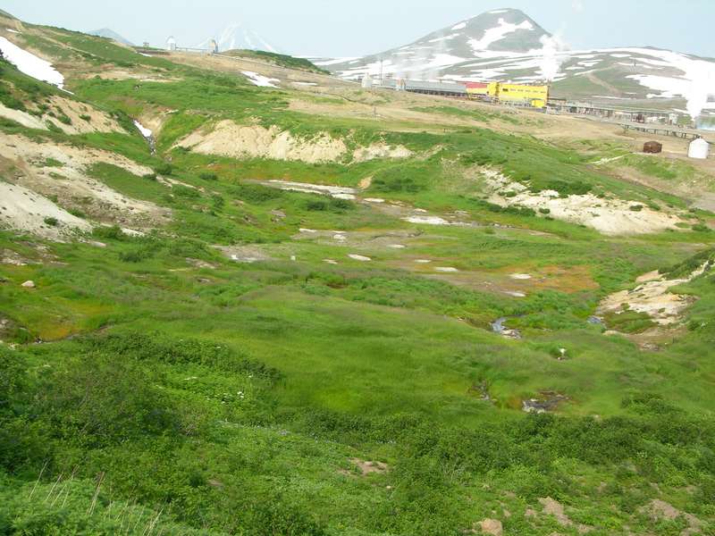 Медвежьи термальные источники, image of landscape/habitat.