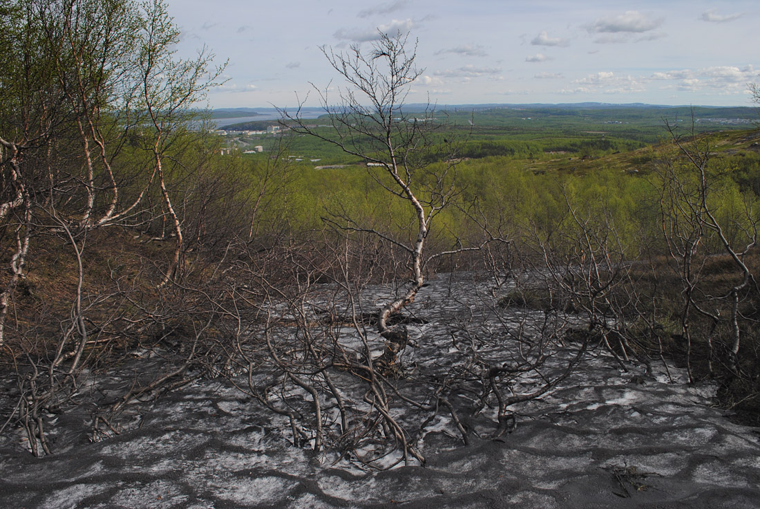 Окрестности Мурманска, image of landscape/habitat.