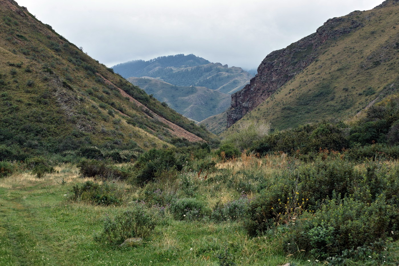 Калмакпай, image of landscape/habitat.