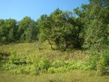 Валгуссы, image of landscape/habitat.