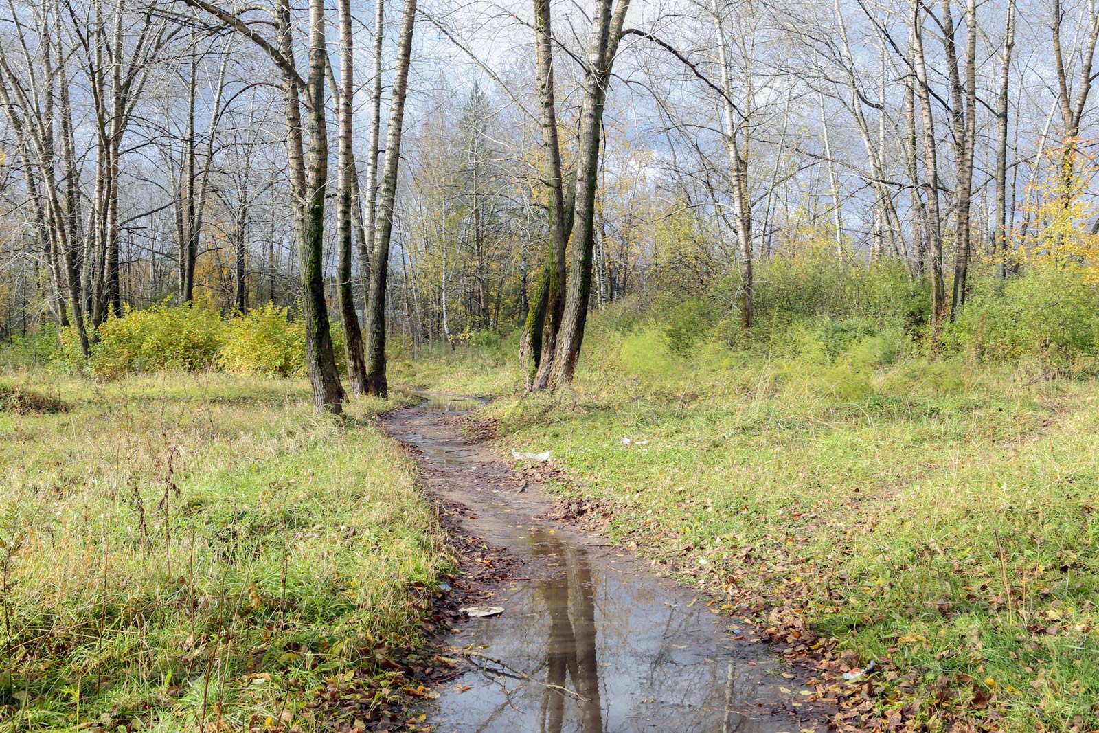 Закамск, image of landscape/habitat.