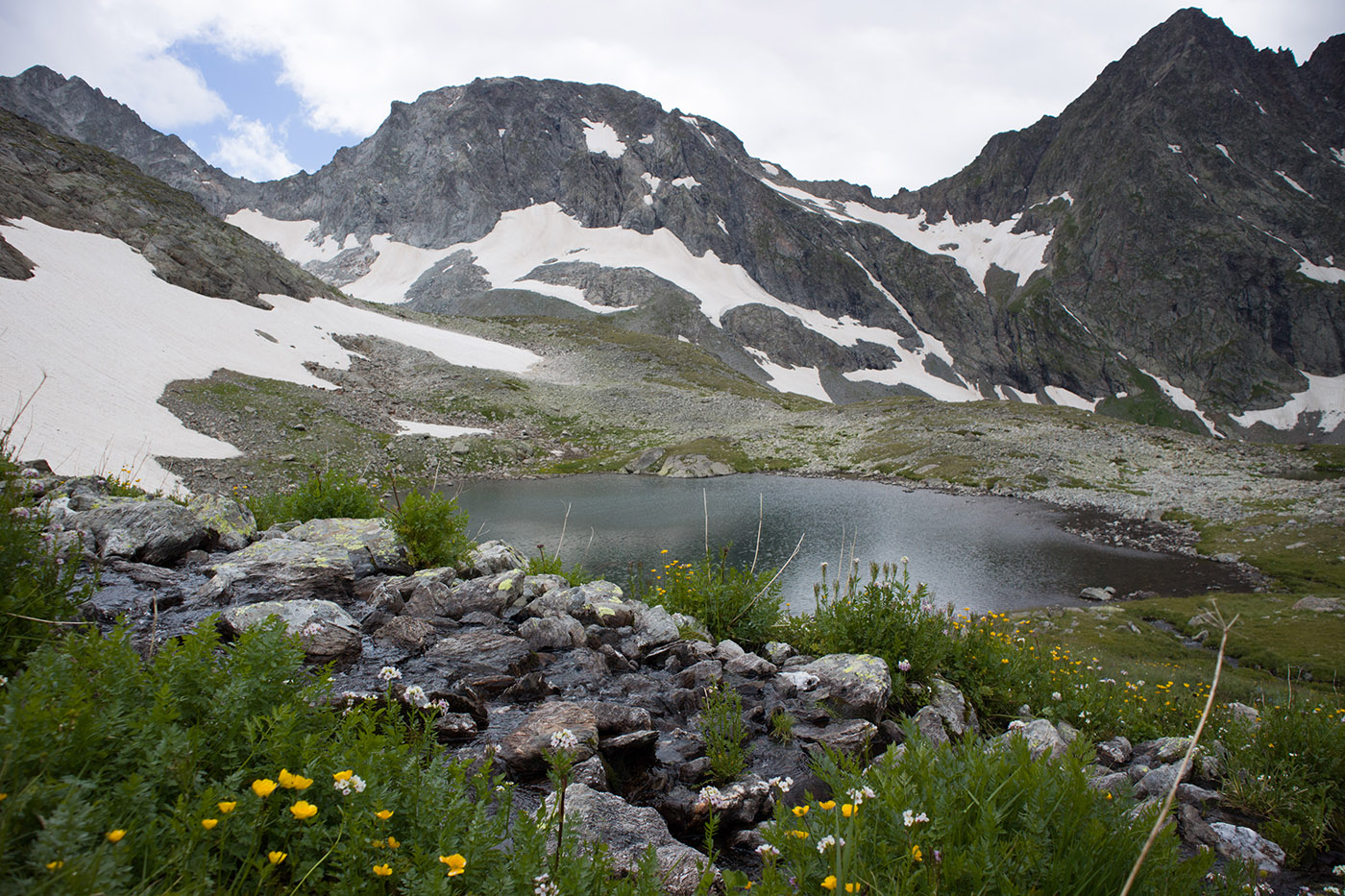 Ривьера, image of landscape/habitat.