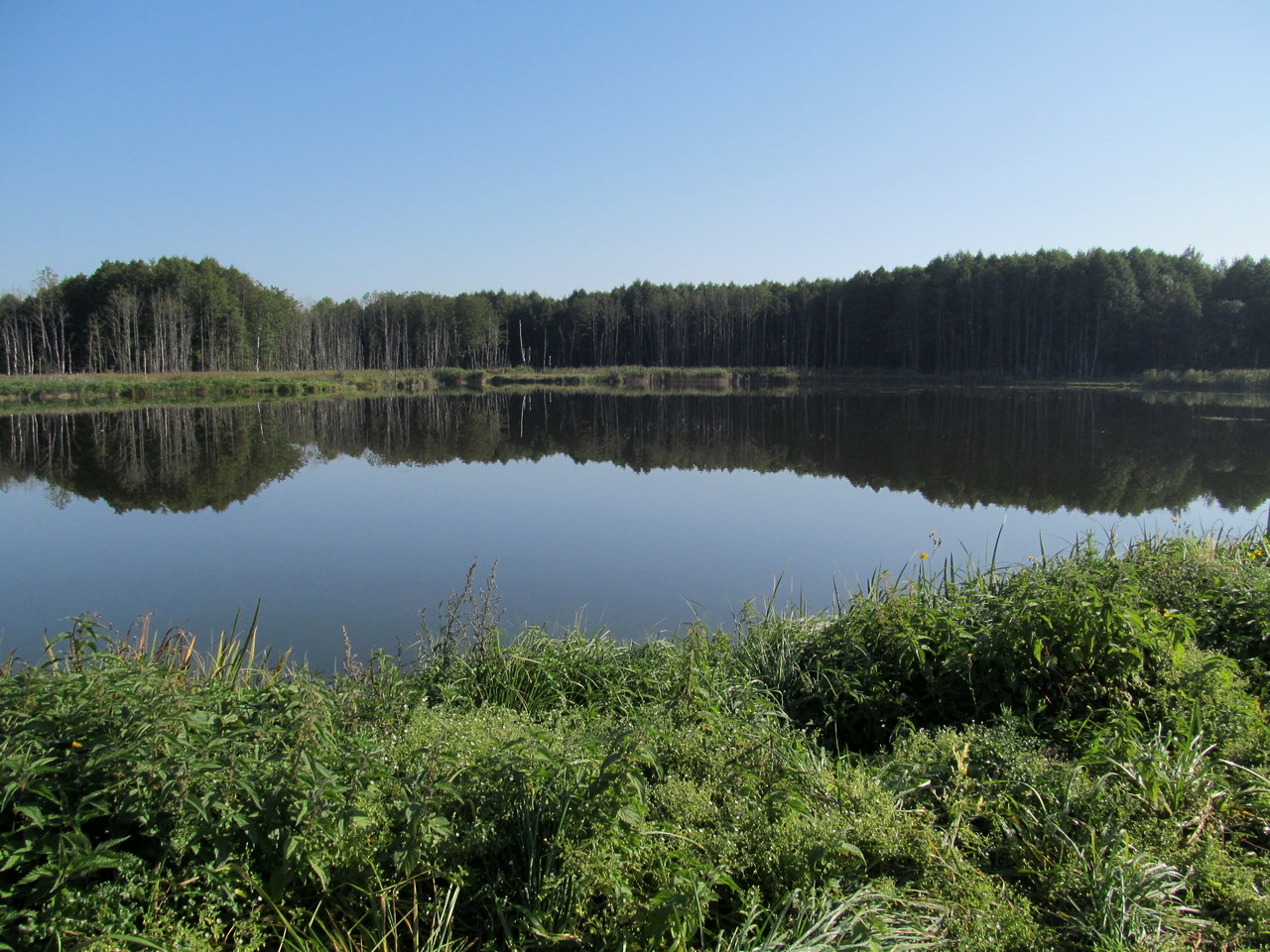 Водохранилище Косичи, изображение ландшафта.
