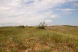 Image of landscape