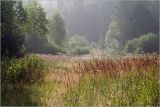 Image of landscape