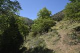 Окрестности Кармраванка, image of landscape/habitat.