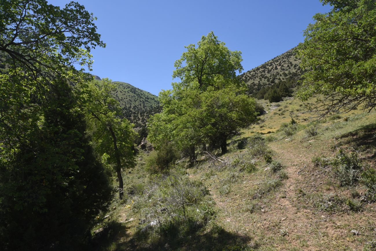 Окрестности Кармраванка, image of landscape/habitat.