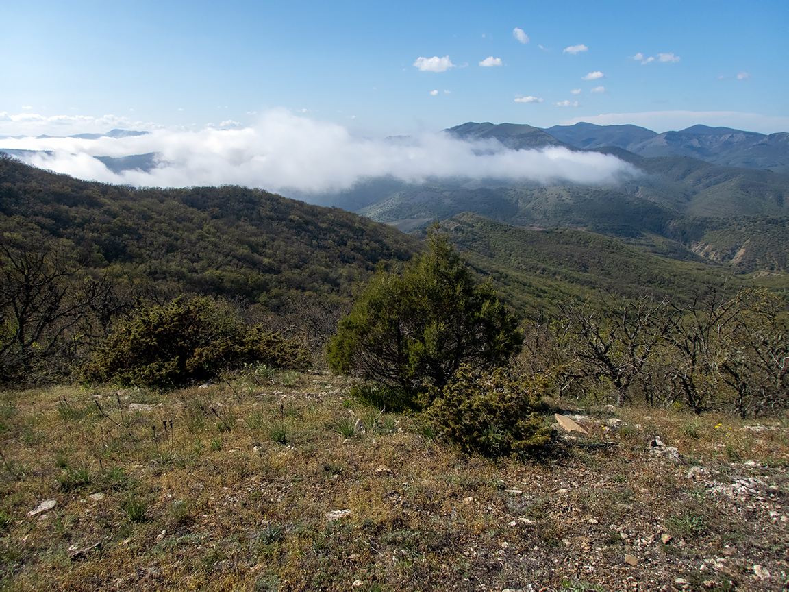Перчем, изображение ландшафта.