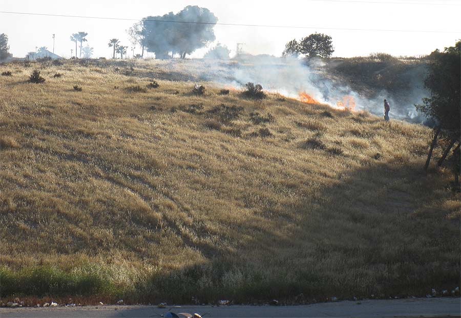 Пустырь в Беэр-Шеве, image of landscape/habitat.