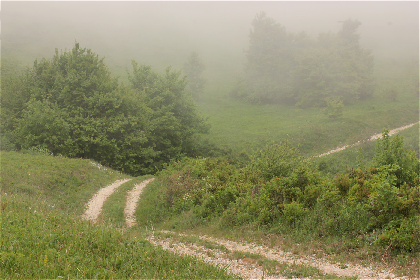 Урочище Солдатский Бугор, image of landscape/habitat.