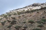Image of landscape