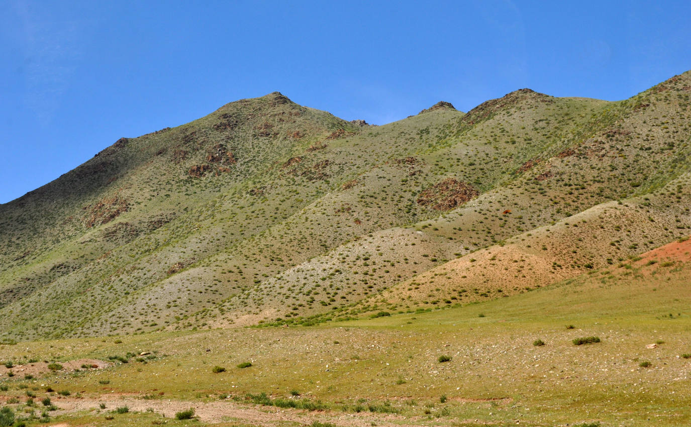Перевал Улаан-Даваа, image of landscape/habitat.