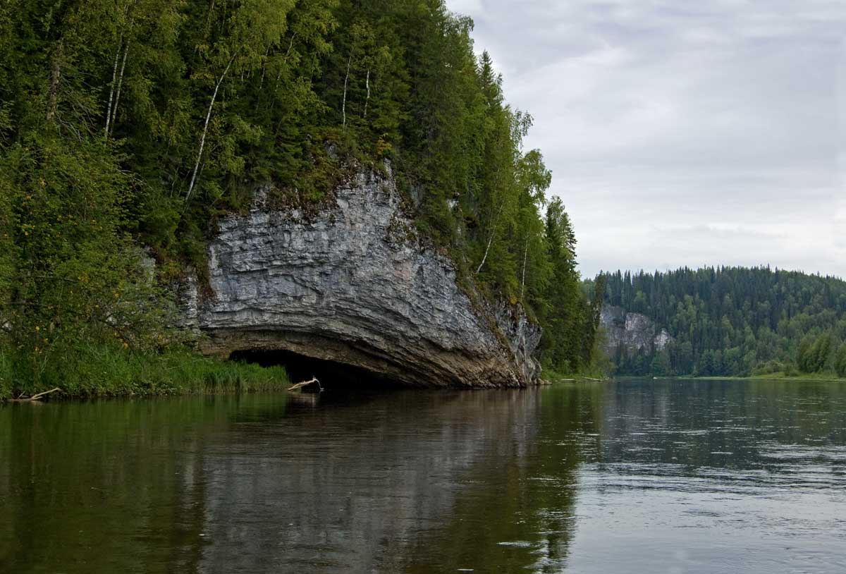 Окрестности деревни Коновалова, image of landscape/habitat.