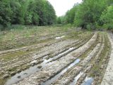 Синегорск, image of landscape/habitat.