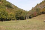 Image of landscape