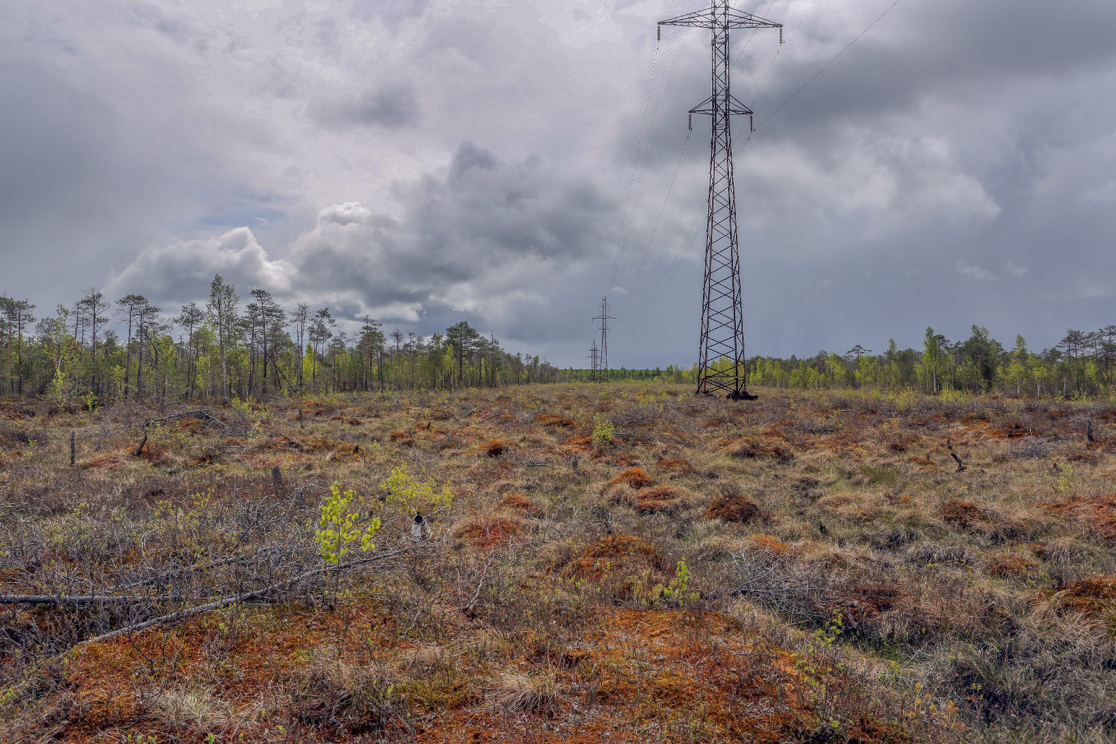 Окрестности Краснокамска, image of landscape/habitat.