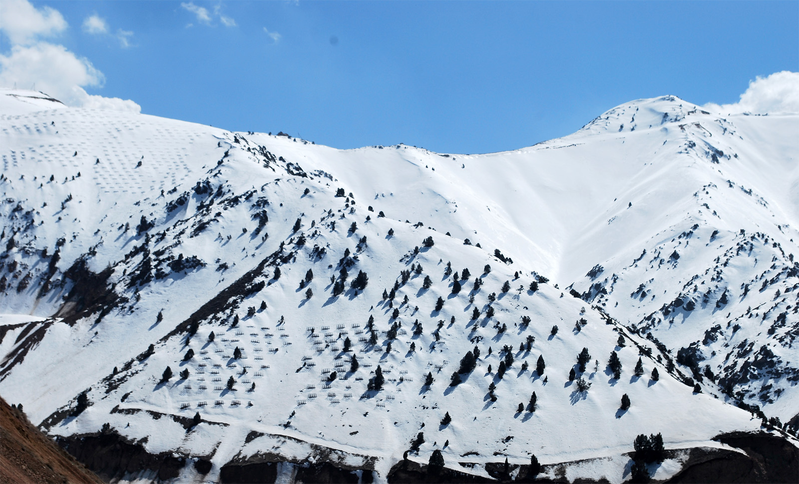 Окрестности перевала Камчик, image of landscape/habitat.