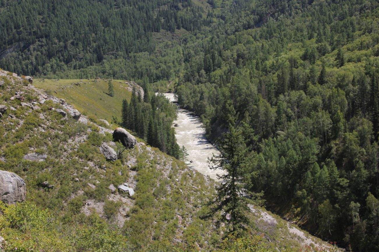 Окрестности устья Дейлюгем, image of landscape/habitat.