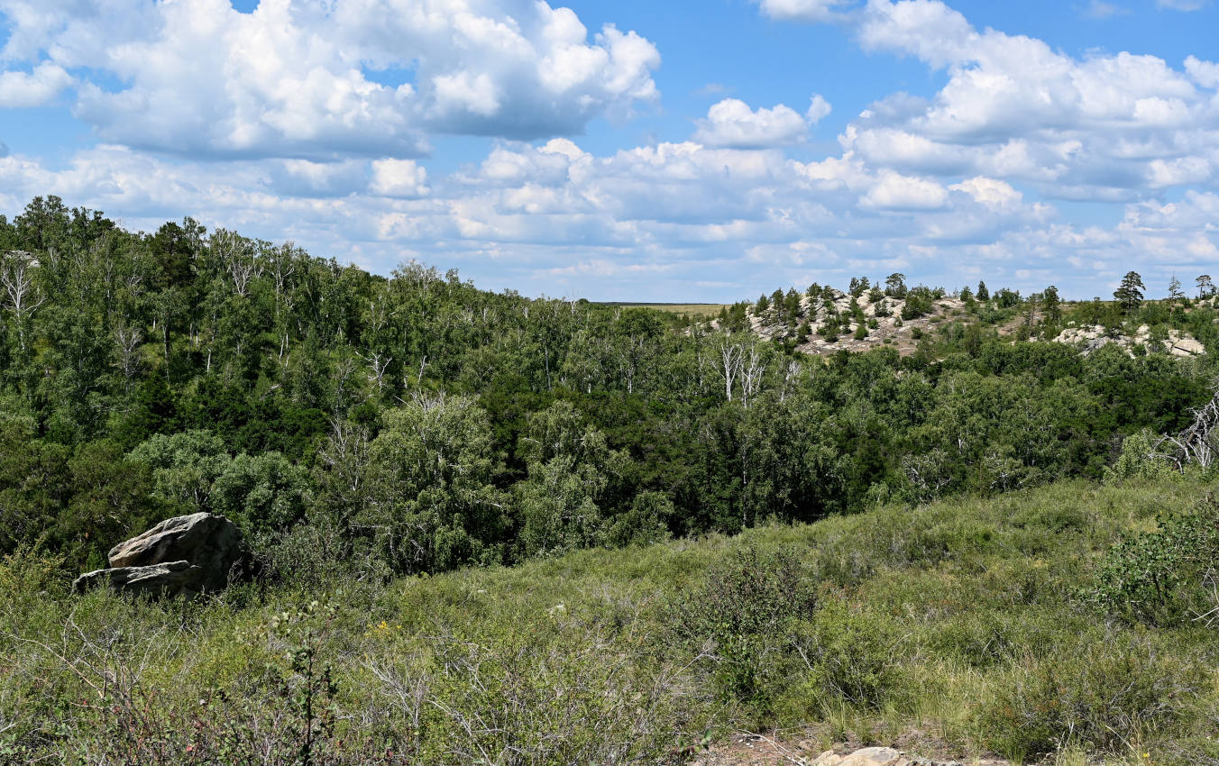 Карагай-Губерлинское ущелье, image of landscape/habitat.