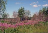 Image of landscape