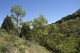 Окрестности Кармраванка, image of landscape/habitat.