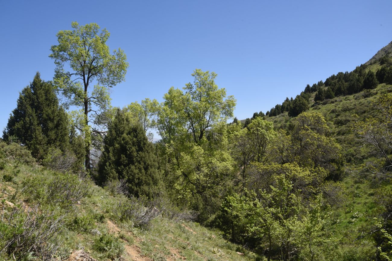 Окрестности Кармраванка, image of landscape/habitat.