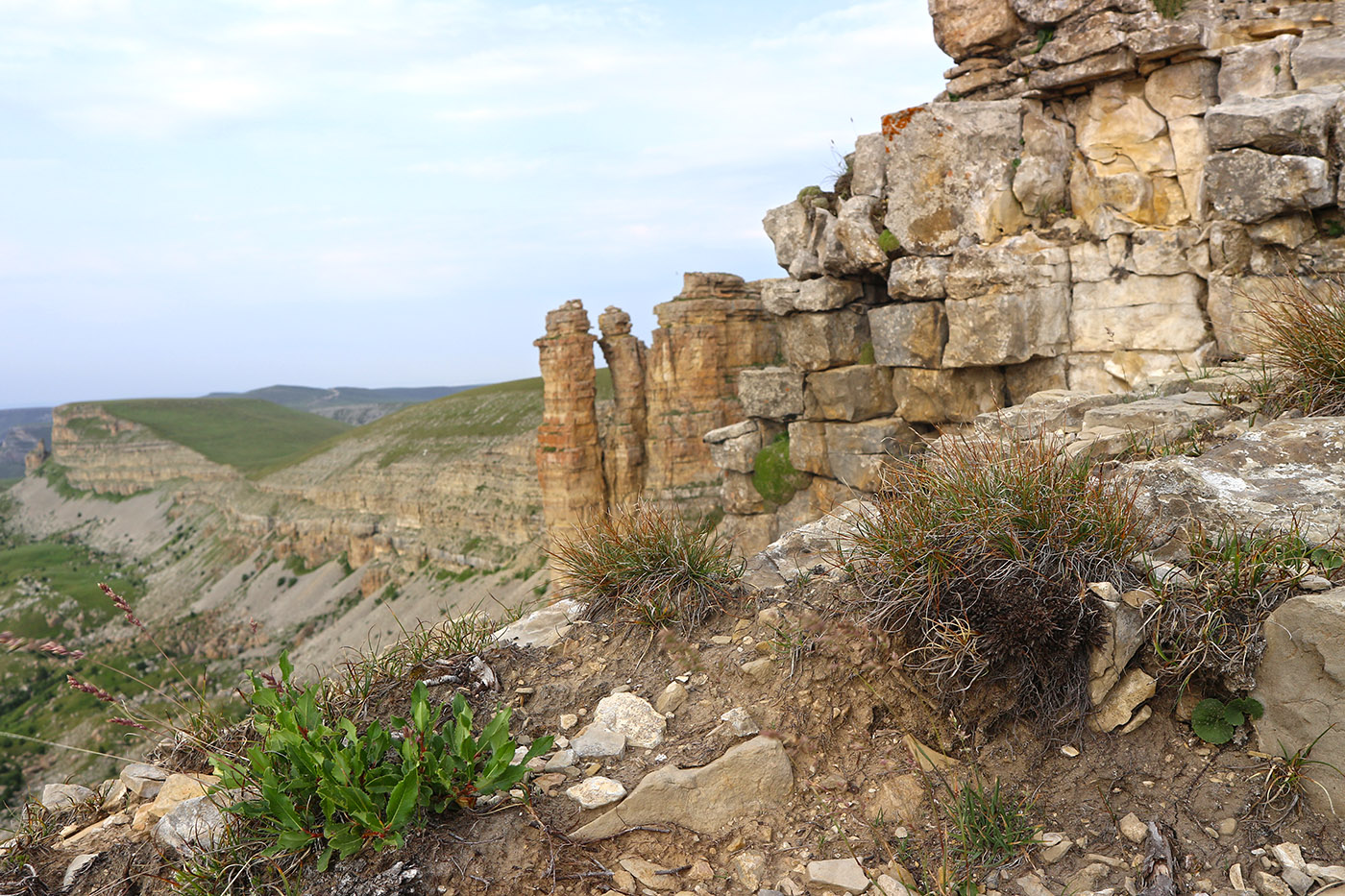 Большой Бермамыт, image of landscape/habitat.