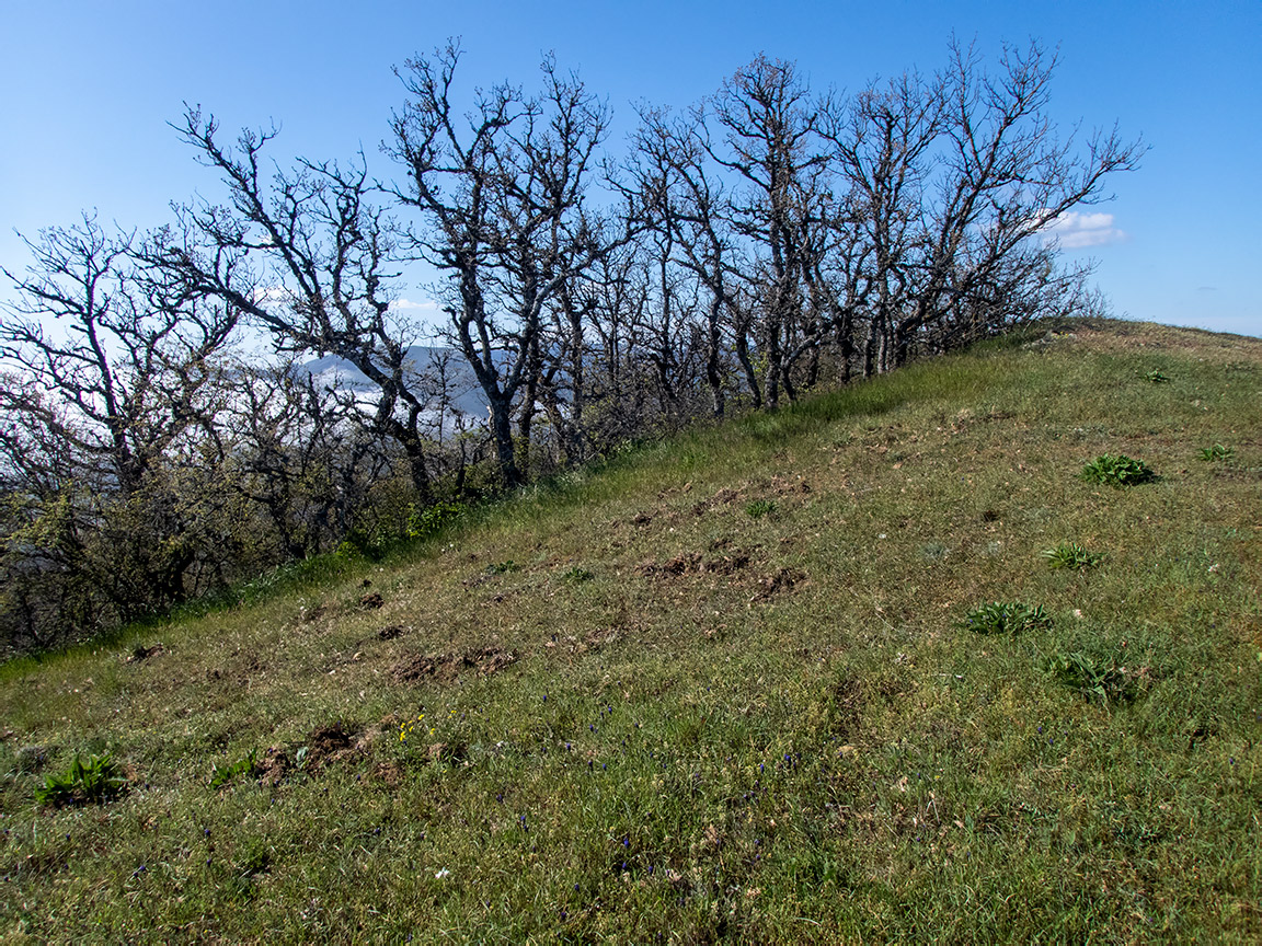 Перчем, изображение ландшафта.