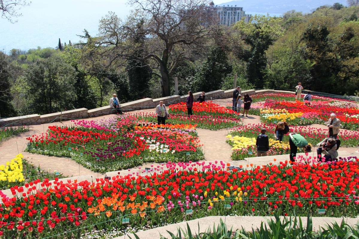 Никитский ботанический сад, image of landscape/habitat.