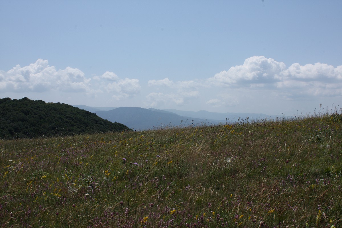 Нижнее плато Чатырдага, image of landscape/habitat.