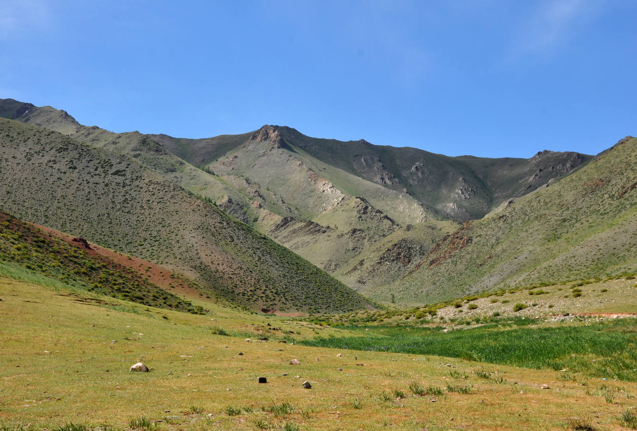 Перевал Улаан-Даваа, изображение ландшафта.
