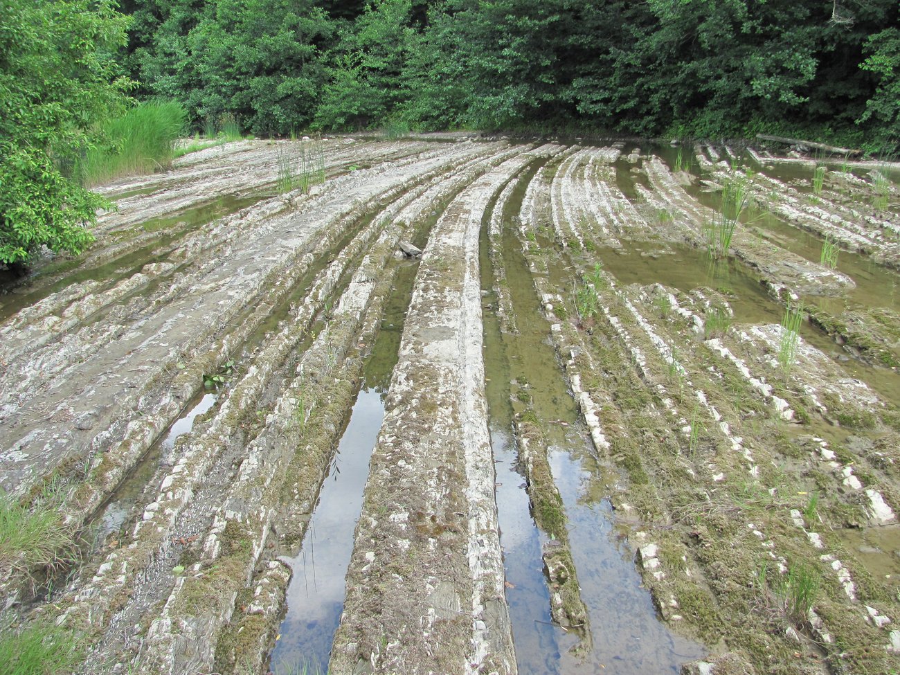 Синегорск, image of landscape/habitat.