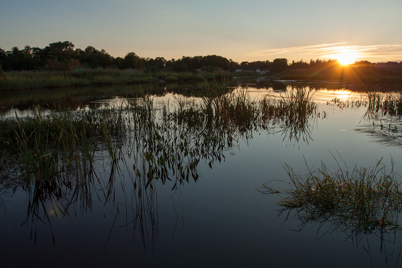 Большая Ижора, image of landscape/habitat.