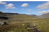 Image of landscape