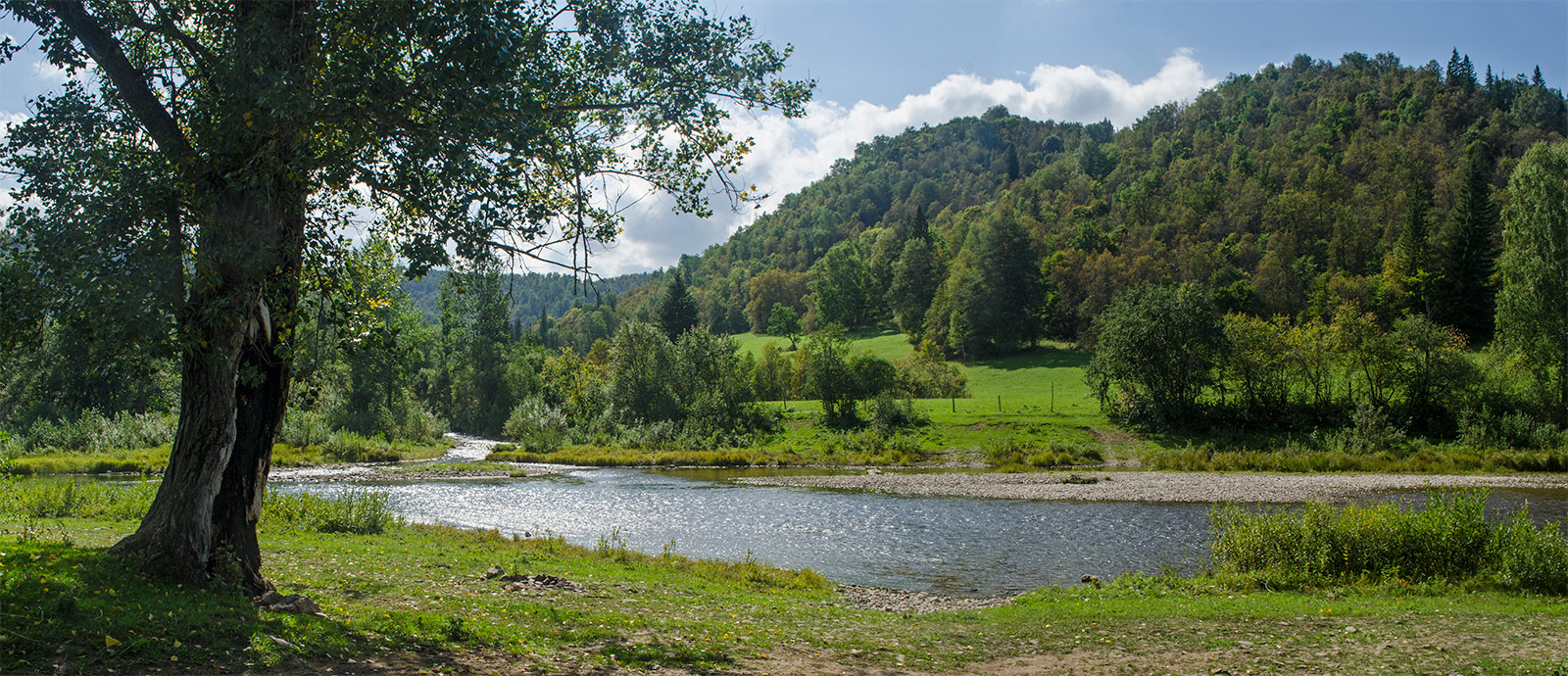 Окрестности деревни Толпарово, image of landscape/habitat.