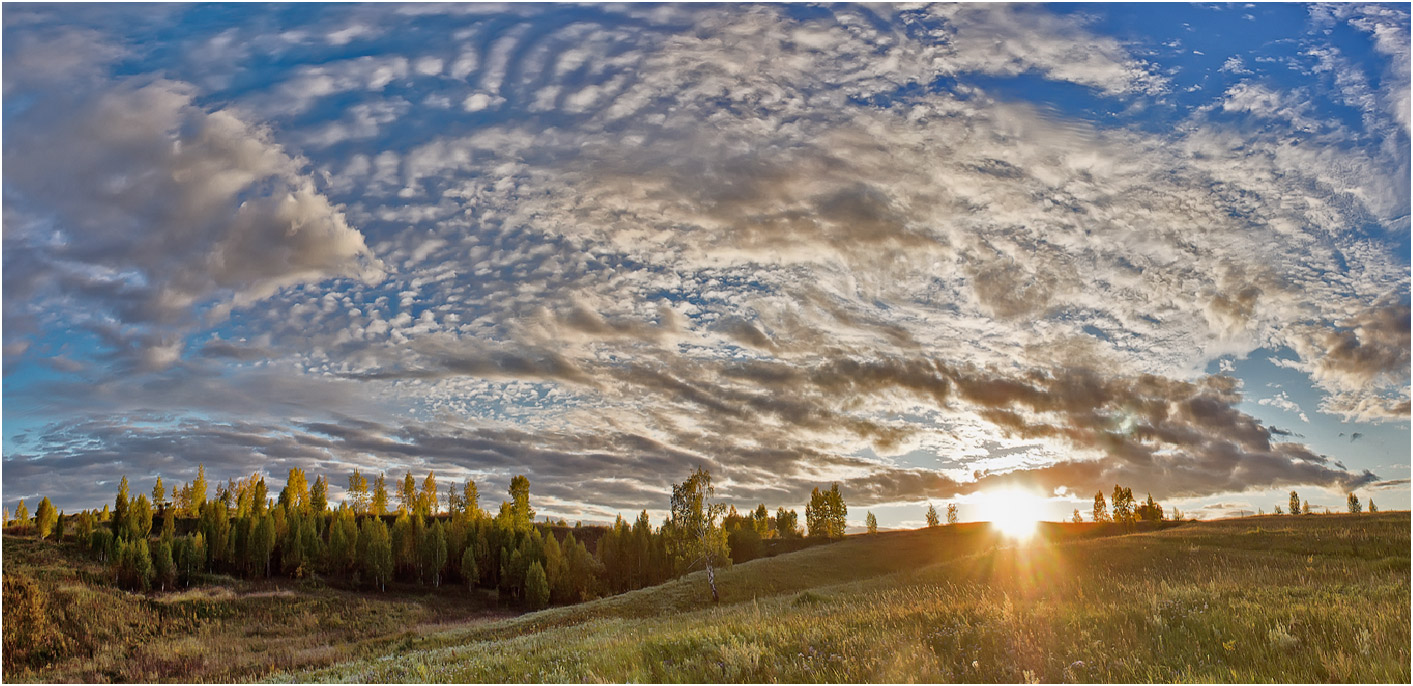 Красноярск и окрестности, image of landscape/habitat.