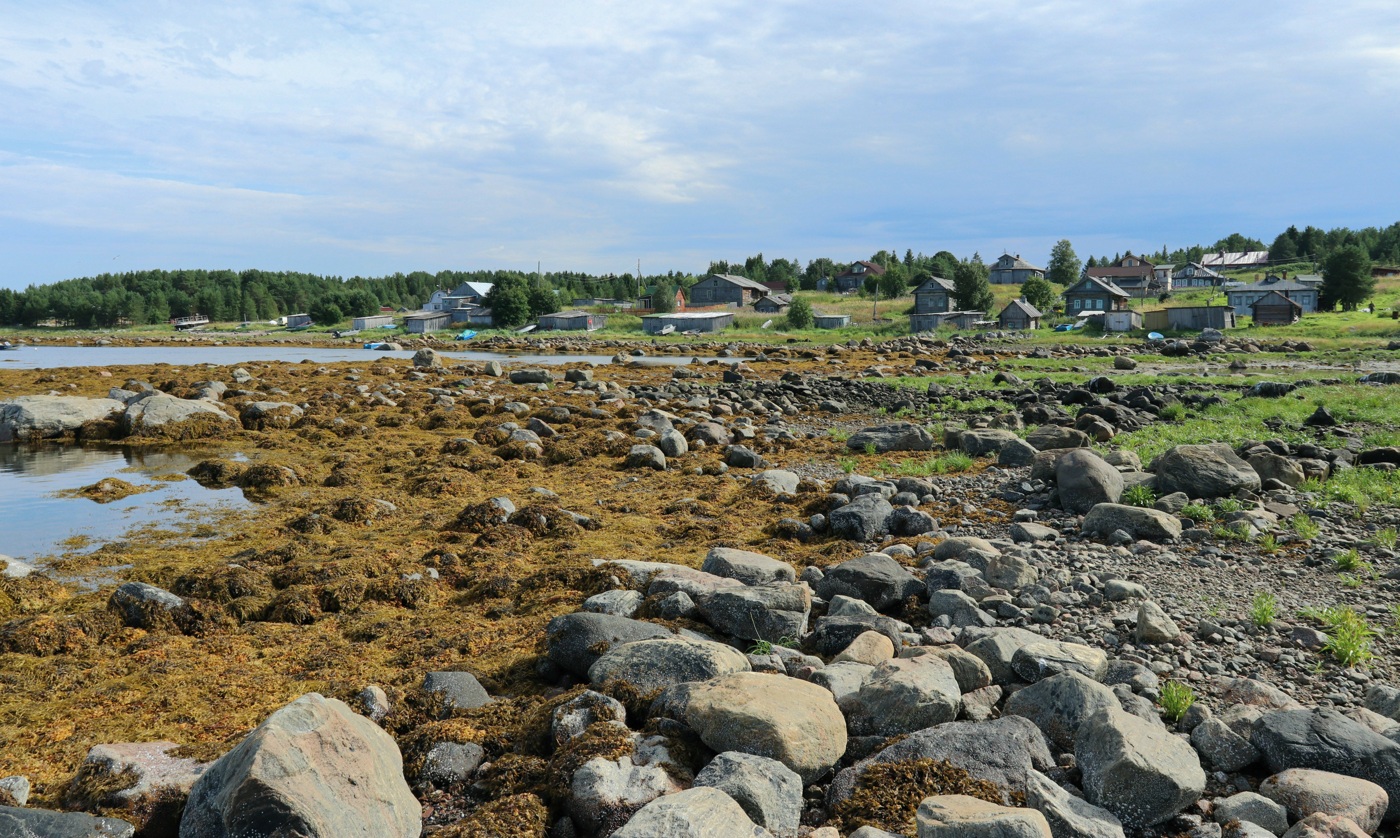 Ковда, image of landscape/habitat.