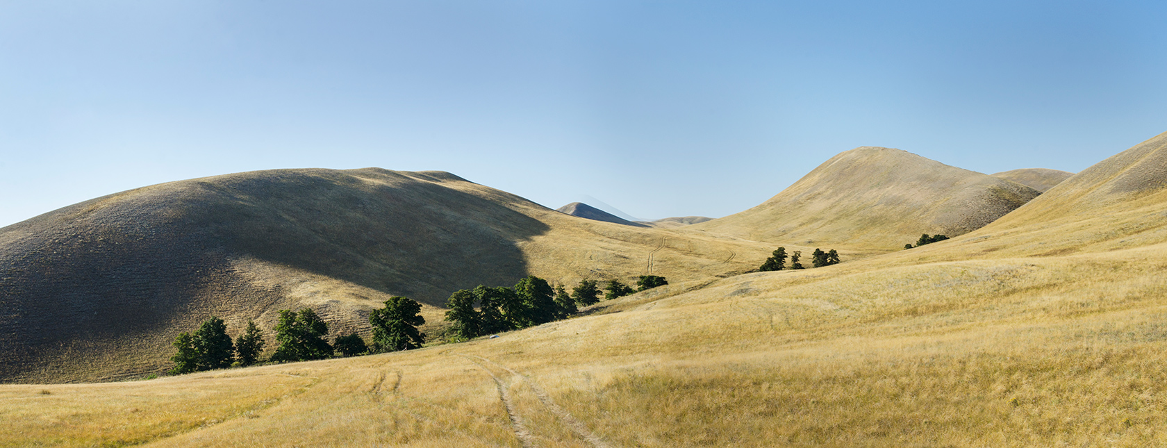 Долгие горы, image of landscape/habitat.